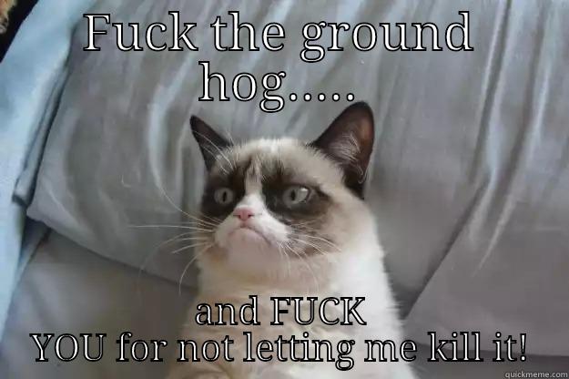 FUCK THE GROUND HOG..... AND FUCK YOU FOR NOT LETTING ME KILL IT! Grumpy Cat