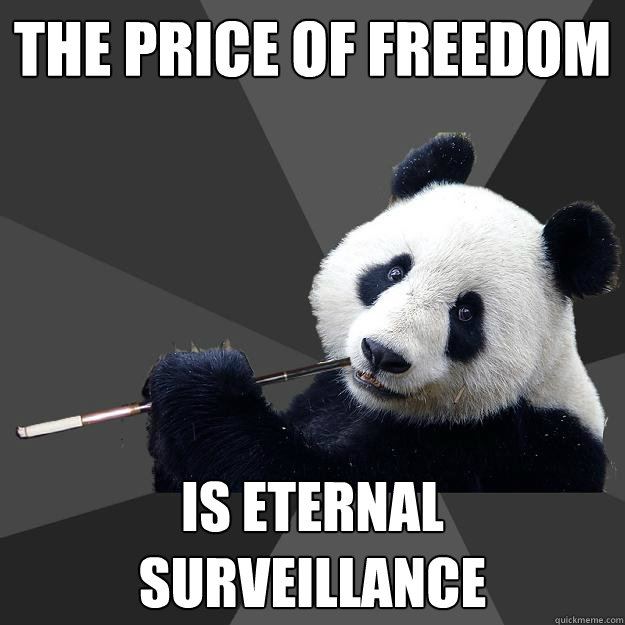 THE PRICE OF FREEDOM IS ETERNAL SURVEILLANCE  Propapanda