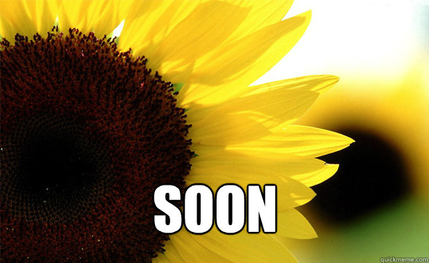  SOON -  SOON  Creepy Sunflower Blossom