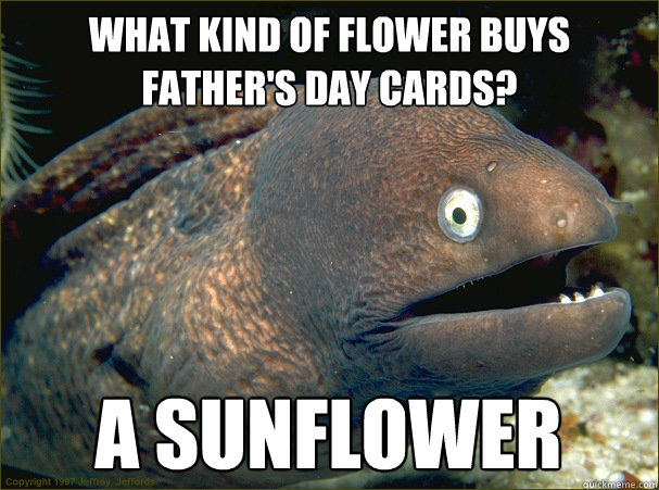 what kind of flower buys father's day cards? a sunflower - what kind of flower buys father's day cards? a sunflower  Bad Joke Eel