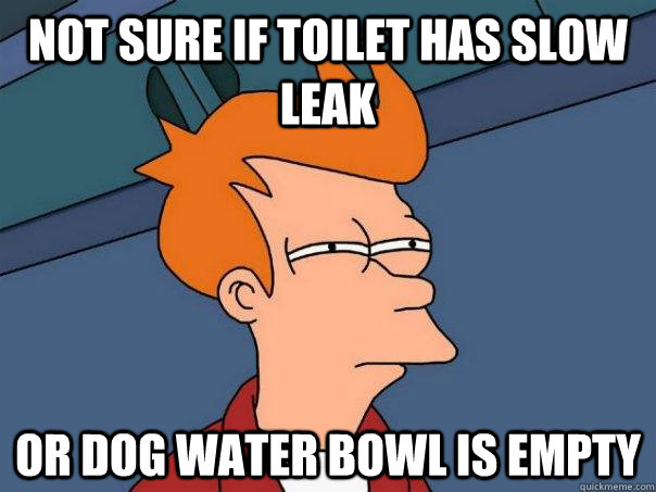 Not sure if toilet has slow leak Or dog water bowl is empty  Futurama Fry