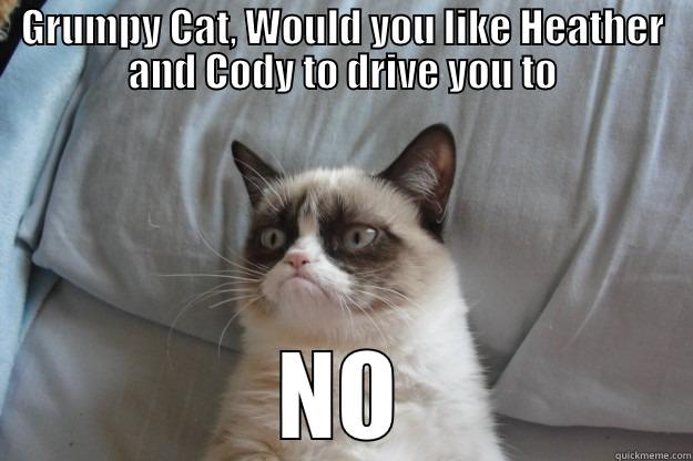 GRUMPY CAT, WOULD YOU LIKE HEATHER AND CODY TO DRIVE YOU TO NO Grumpy Cat