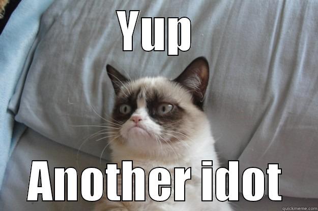 YUP ANOTHER IDOT Grumpy Cat