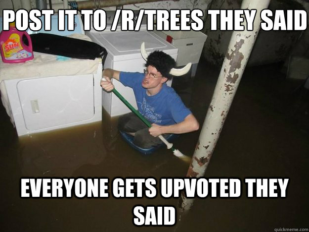 Post it to /r/trees they said Everyone gets upvoted they said - Post it to /r/trees they said Everyone gets upvoted they said  Do the laundry they said