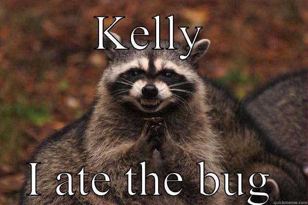 KELLY I ATE THE BUG Evil Plotting Raccoon