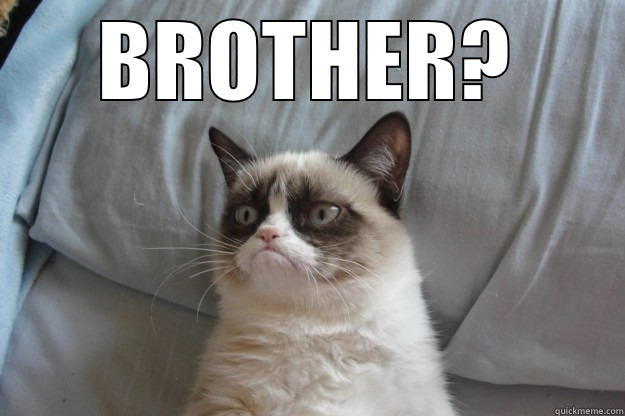 brother HTRSJUDKU - BROTHER?  Grumpy Cat