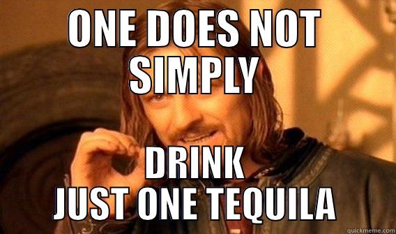 ONE DOES NOT SIMPLY DRINK JUST ONE TEQUILA One Does Not Simply