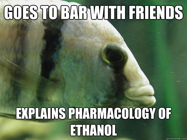 goes to bar with friends explains pharmacology of ethanol  