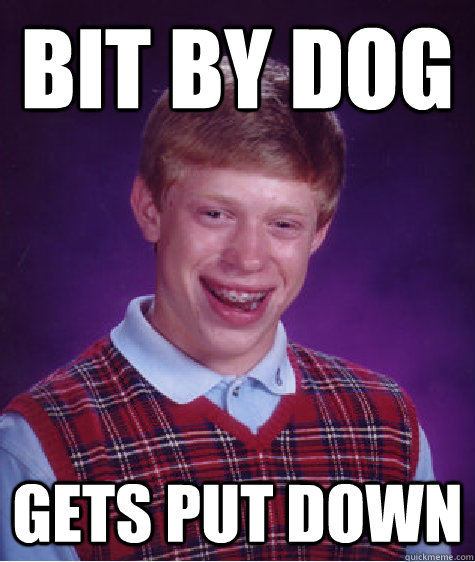 Bit by dog Gets Put down  Bad Luck Brian