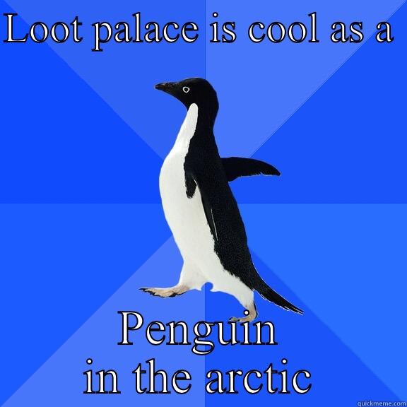 Loot palace  - LOOT PALACE IS COOL AS A  PENGUIN IN THE ARCTIC Socially Awkward Penguin