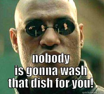  NOBODY IS GONNA WASH THAT DISH FOR YOU! Matrix Morpheus