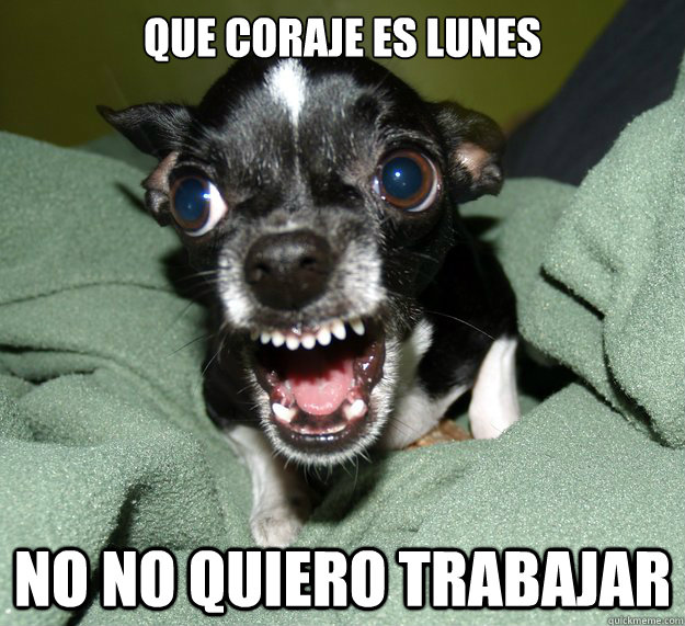 QUE CORAJE ES LUNES  NO NO QUIERO TRABAJAR  - QUE CORAJE ES LUNES  NO NO QUIERO TRABAJAR   Chihuahua Logic