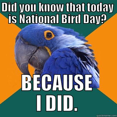 DID YOU KNOW THAT TODAY IS NATIONAL BIRD DAY? BECAUSE I DID. Paranoid Parrot