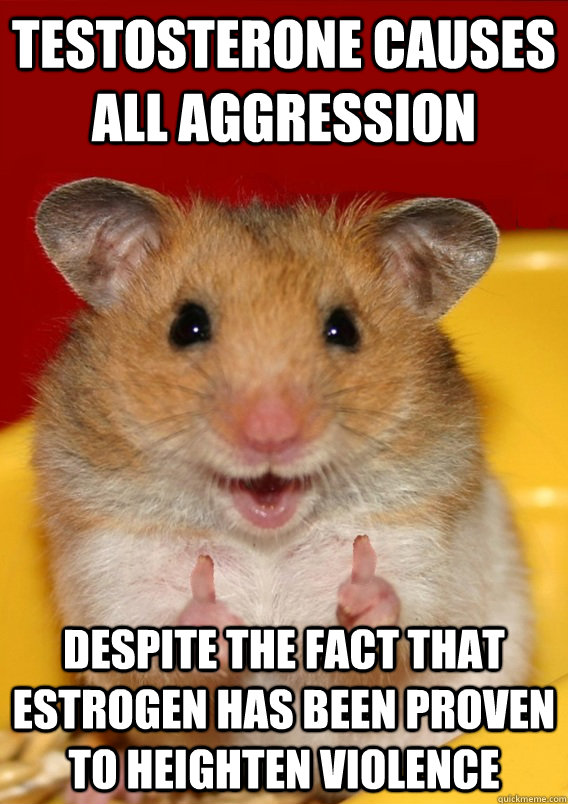 Testosterone causes all aggression Despite the fact that estrogen has been proven to heighten violence   - Testosterone causes all aggression Despite the fact that estrogen has been proven to heighten violence    Rationalization Hamster