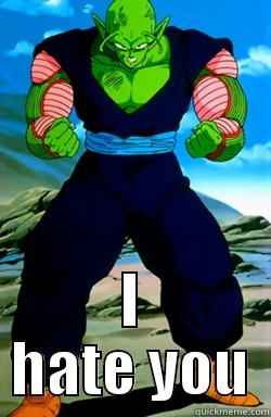 namek~angry >:( -  I HATE YOU Misc