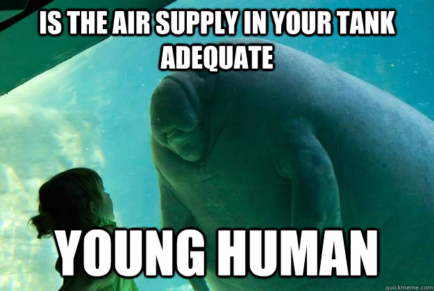 is the air supply in your tank adequate young human - is the air supply in your tank adequate young human  Overlord Manatee