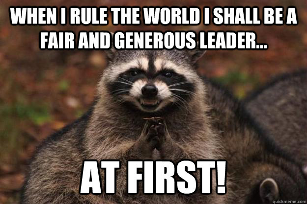 When i rule the world i shall be a fair and generous leader... at first!  Evil Plotting Raccoon