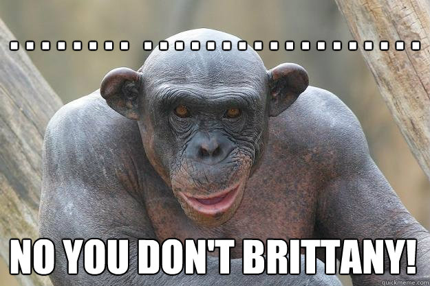 . . . . . . . .  . . . . . . . . . . . . . . . . . . NO YOU DON'T BRITTANY!  The Most Interesting Chimp In The World