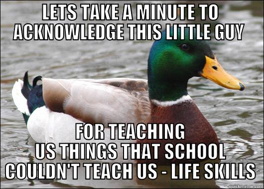 Good Advice Mallard everybody! - LETS TAKE A MINUTE TO ACKNOWLEDGE THIS LITTLE GUY  FOR TEACHING US THINGS THAT SCHOOL COULDN'T TEACH US - LIFE SKILLS Actual Advice Mallard