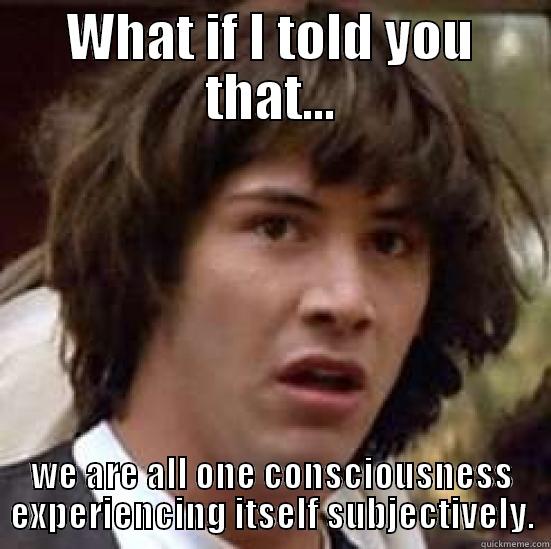 WHAT IF I TOLD YOU THAT... WE ARE ALL ONE CONSCIOUSNESS EXPERIENCING ITSELF SUBJECTIVELY. conspiracy keanu