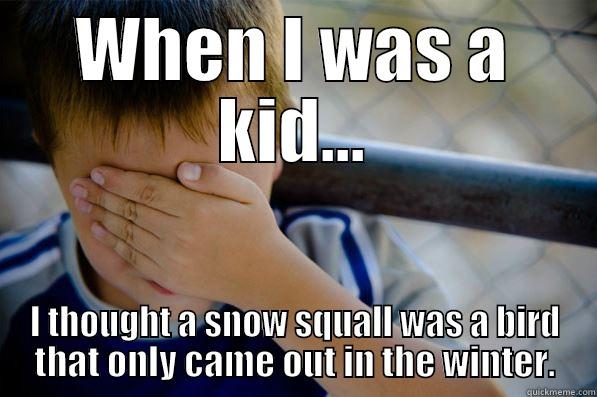 WHEN I WAS A KID... I THOUGHT A SNOW SQUALL WAS A BIRD THAT ONLY CAME OUT IN THE WINTER. Confession kid