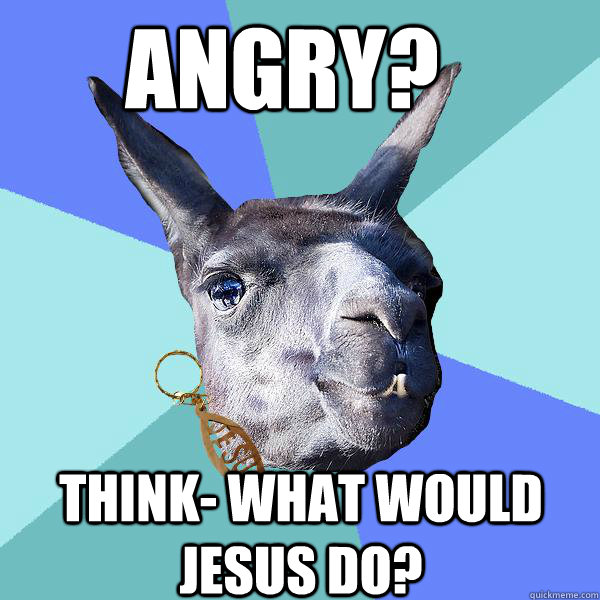 Angry?  Think- What would Jesus do?  Christian Mama Llama