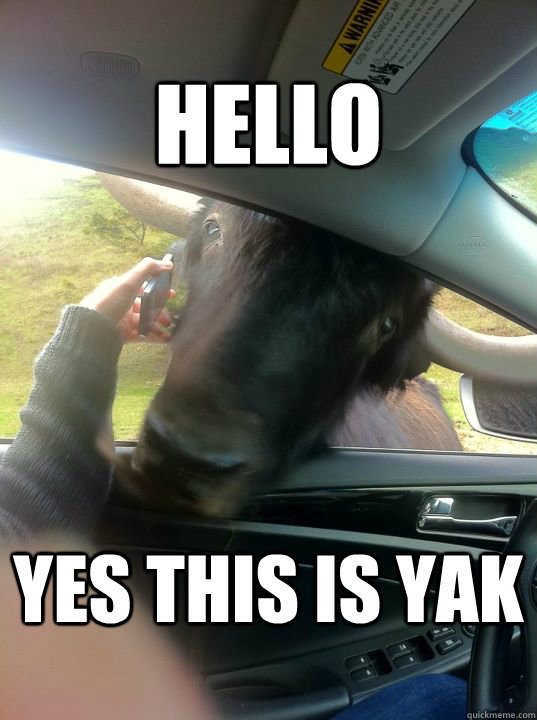 HELLO YES THIS IS YAK - HELLO YES THIS IS YAK  Keevo The Yak