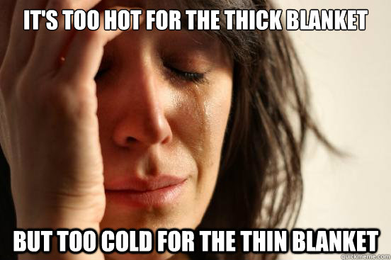 It's too hot for the thick blanket But too cold for the thin blanket  First World Problems