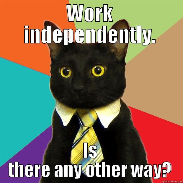 WORK INDEPENDENTLY. IS THERE ANY OTHER WAY? Business Cat