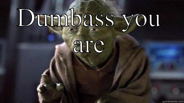 DUMBASS YOU ARE  True dat, Yoda.