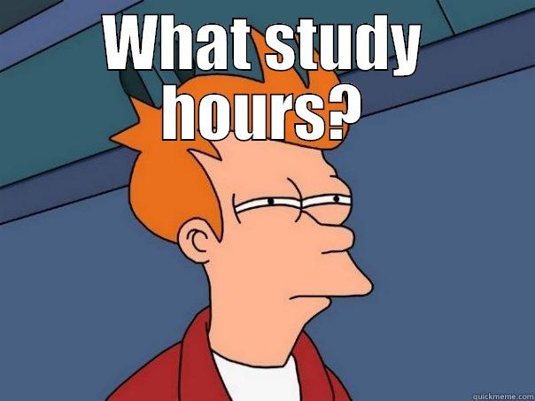 WHAT STUDY HOURS?  Futurama Fry