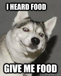 I heard food give me food - I heard food give me food  food dog