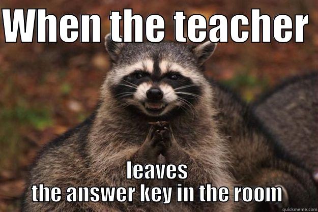 WHEN THE TEACHER  LEAVES THE ANSWER KEY IN THE ROOM Evil Plotting Raccoon