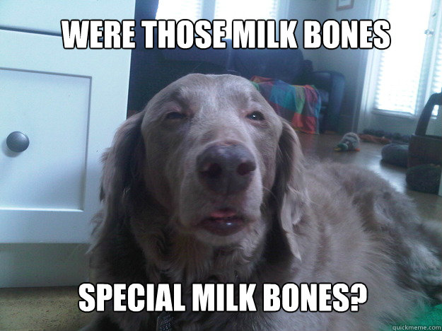 WERE THOSE MILK BONES SPECIAL MILK BONES?  10 Dog