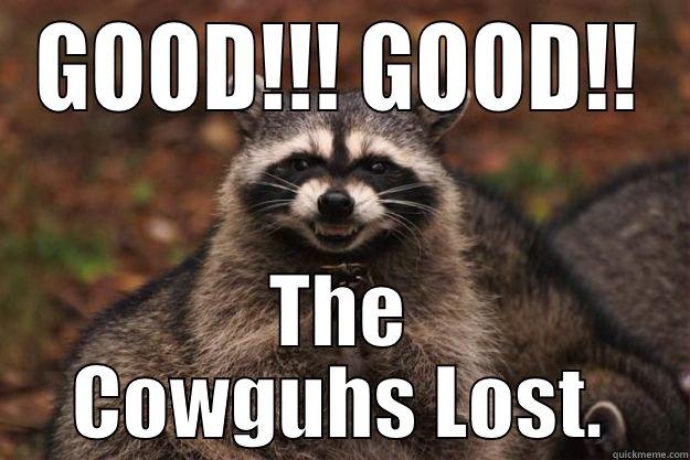 GOOD!!! GOOD!! THE COWGUHS LOST. Evil Plotting Raccoon