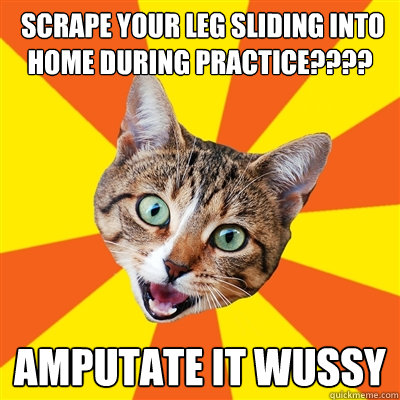  scrape your leg sliding into home during practice???? amputate it Wussy  Bad Advice Cat