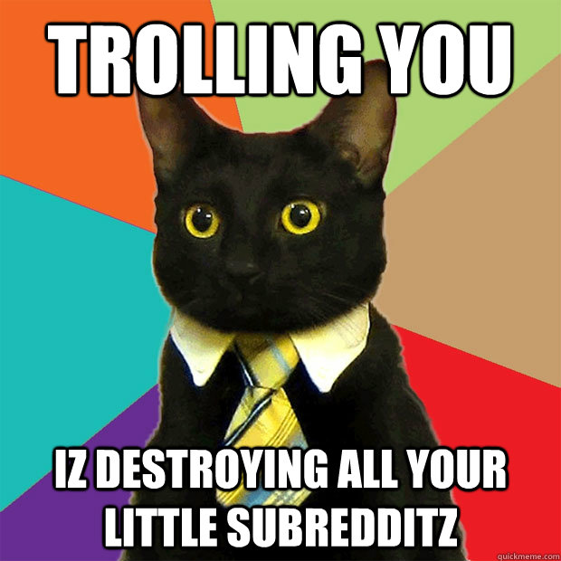 TROLLING YOU IZ DESTROYING ALL YOUR LITTLE SUBREDDITZ  Business Cat