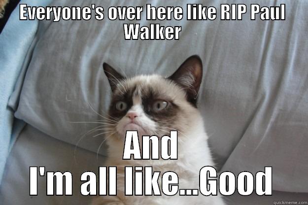 Pffft Paul Walker - EVERYONE'S OVER HERE LIKE RIP PAUL WALKER AND I'M ALL LIKE...GOOD Grumpy Cat