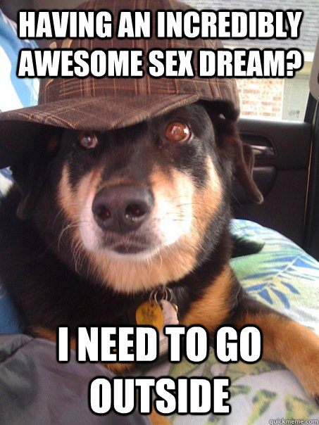 Having an incredibly awesome sex dream? I need to go outside  Scumbag dog