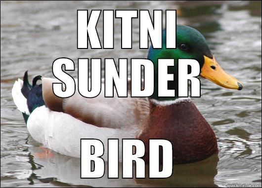 KITNI SUNDER BIRD Actual Advice Mallard