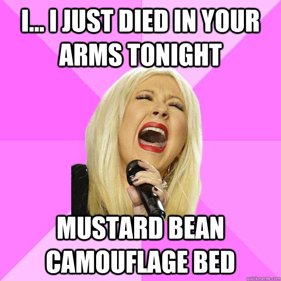 i... i just died in your arms tonight mustard bean camouflage bed   Wrong Lyrics Christina