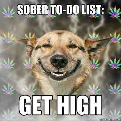 Sober to-do list: get high  Stoner Dog