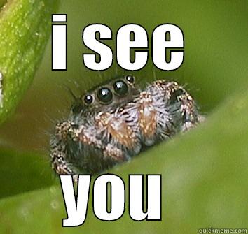 hi there 33747458376 - I SEE YOU  Misunderstood Spider