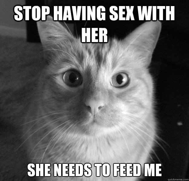 Stop having sex with her she needs to feed me
  