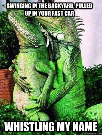 Swinging in the backyard, pulled up in your fast car whistling my name - Swinging in the backyard, pulled up in your fast car whistling my name  Iguana Del Rey