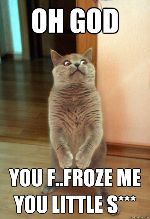 Oh God you f..froze me you little s***  Horrorcat