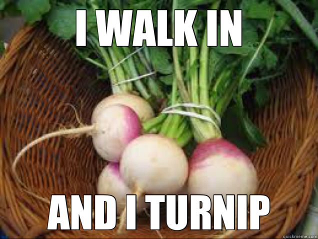 I WALK IN AND I TURNIP - I WALK IN AND I TURNIP  Misc