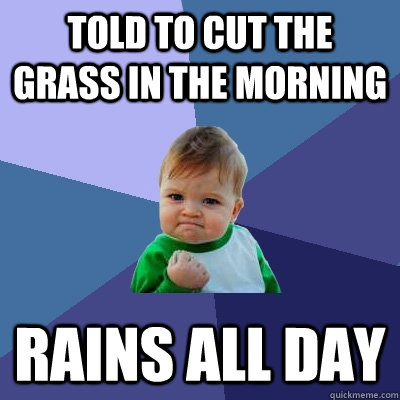 told to cut the grass in the morning rains all day - told to cut the grass in the morning rains all day  Success Kid