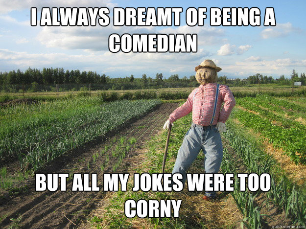 i always dreamt of being a comedian but all my jokes were too corny   Scarecrow