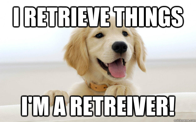 imaretriever-memes-quickmeme